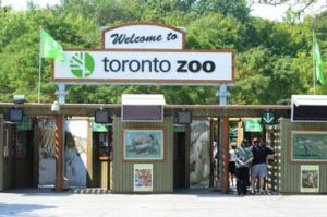 Top places to visit in toronto