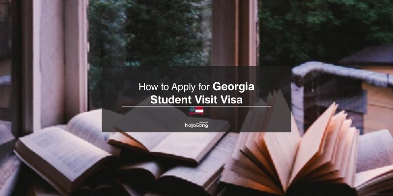 apply Georgia student visa nigeria