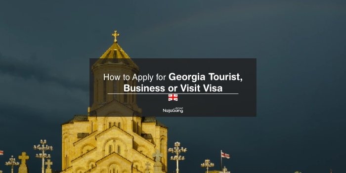 apply georgia tourist business visit visa nigeria