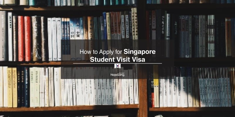 apply south korea student visa nigeria